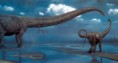 /album/fotogaleria3/mh-mamenchisaurus-jpg/